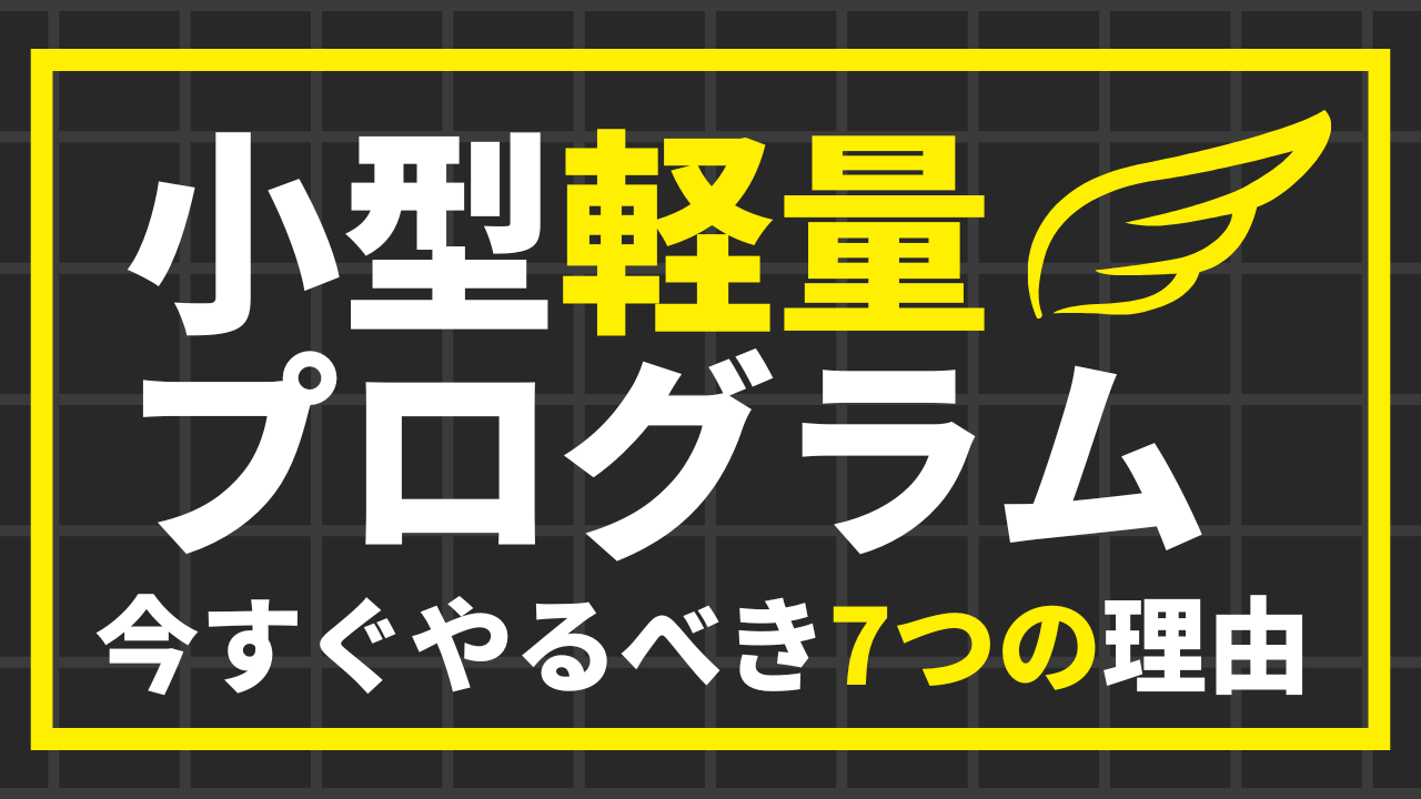 【副業せどらー必見】軽い・小さい・高利益率！せどり初心者なら小型軽量プログラムをやるべき7つの理由